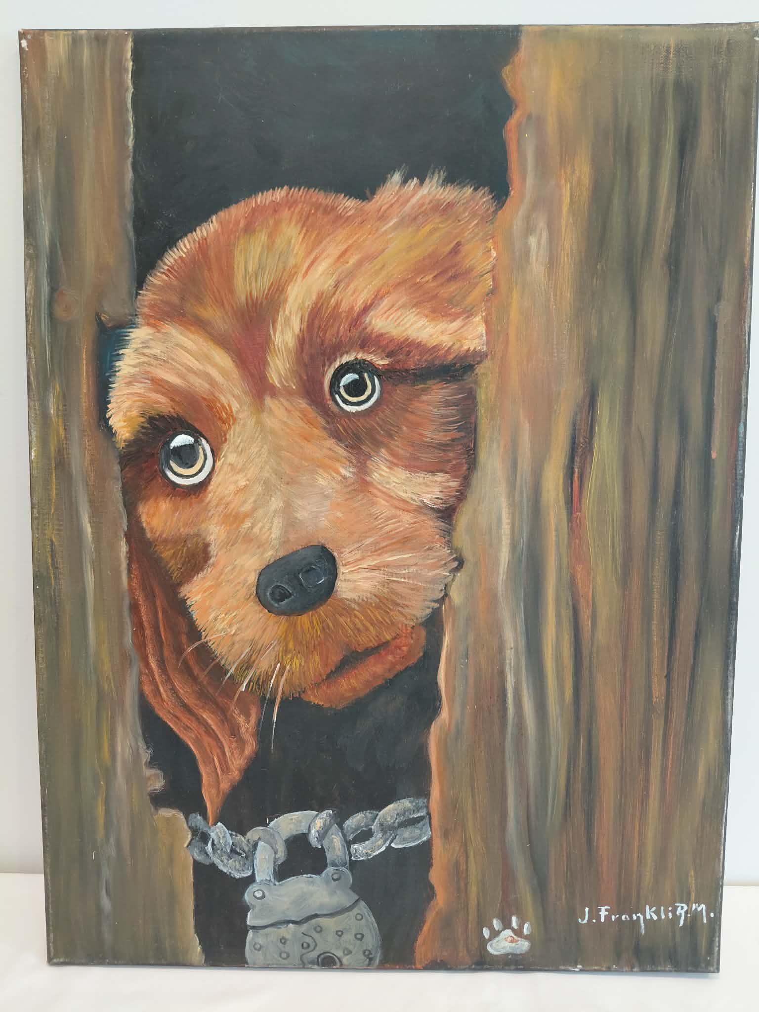 Puppy behind padlock