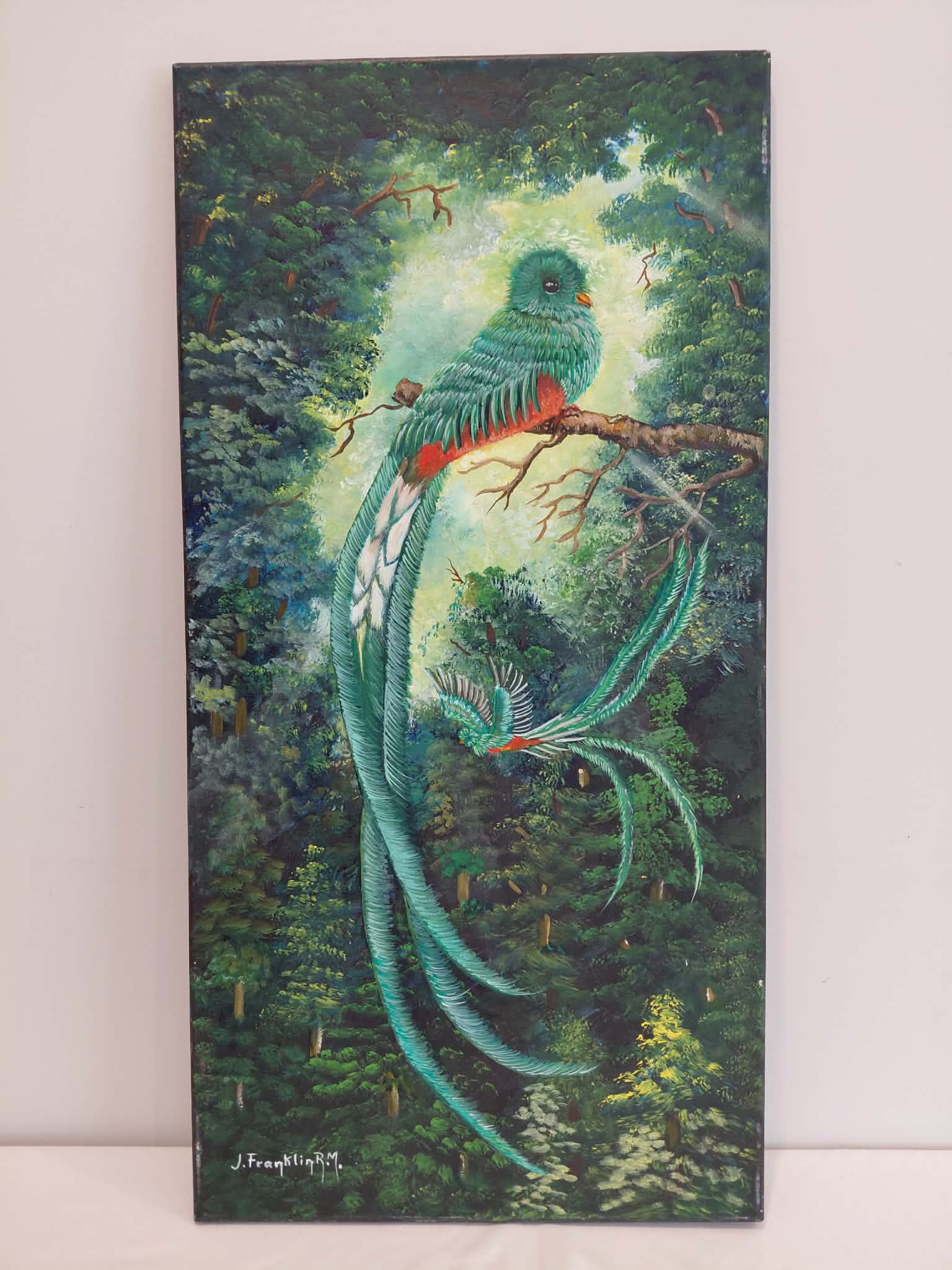 The Quetzal — sacred bird of Central America