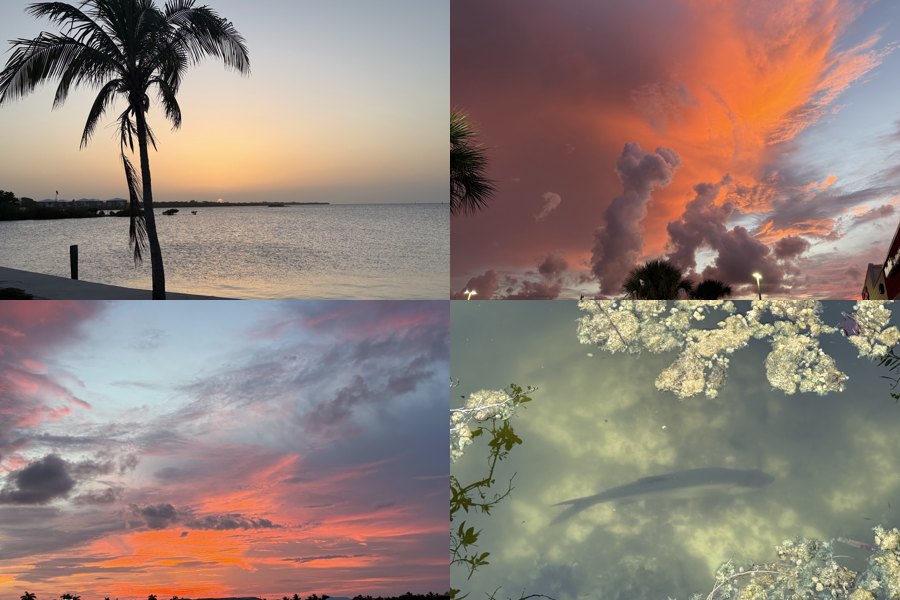 Florida Keys phone wallpaper pack preview
